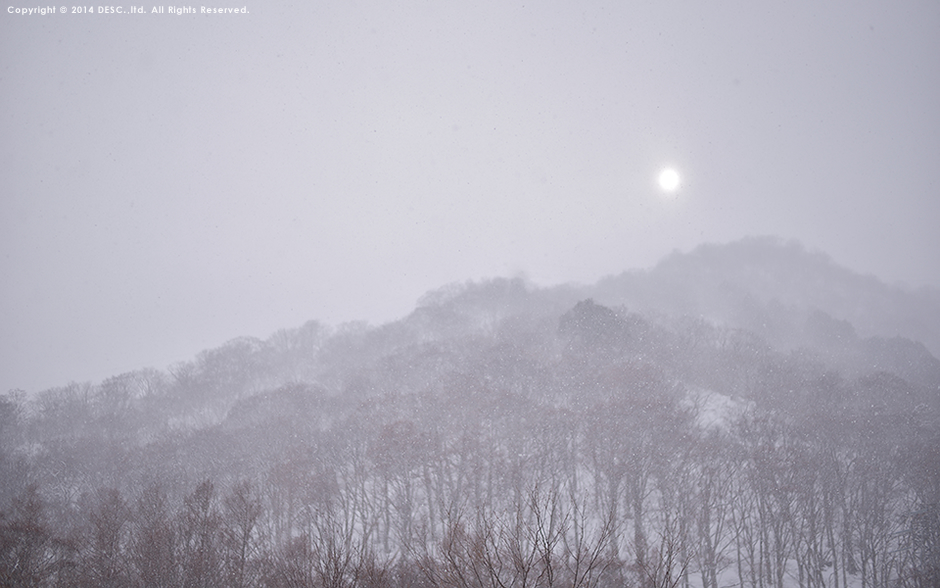 雪景色