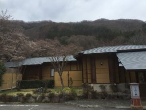 sakura1
