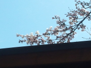 2014-04-20 13.40.43.jpg