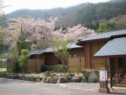 桜100505_1.jpg